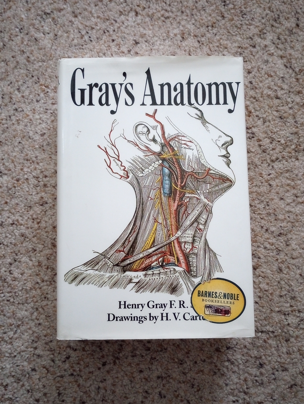 Grey's Anatomy Classic Medical Reference Book